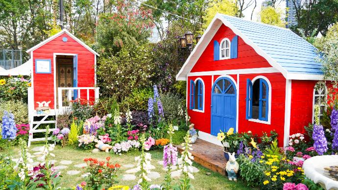 red and blue wooden house near green trees during daytime